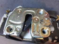 Contact us for Photo