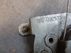 Contact us for Photo