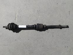 Contact us for Photo