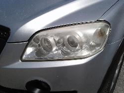 Contact us for Photo