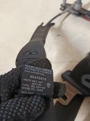 Contact us for Photo