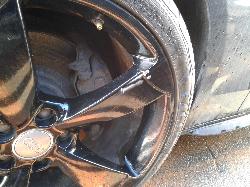 Contact us for Photo