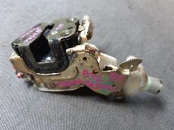 Contact us for Photo