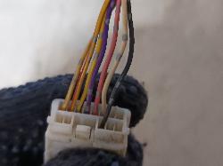 Contact us for Photo