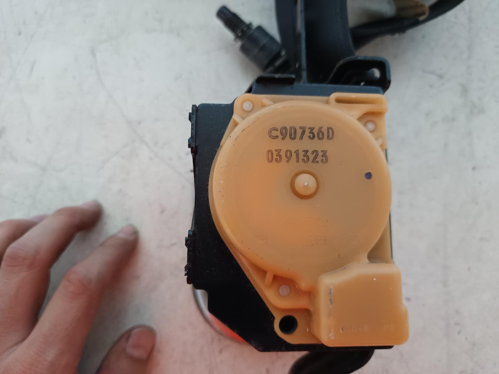 Contact us for Photo