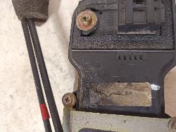 Contact us for Photo