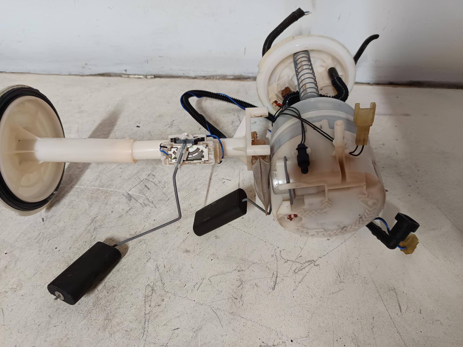 Contact us for Photo