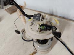 Contact us for Photo