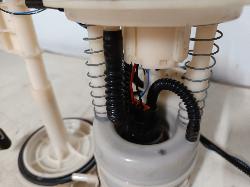 Contact us for Photo