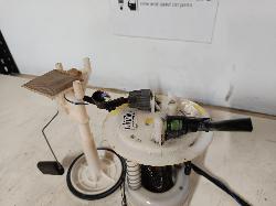 Contact us for Photo