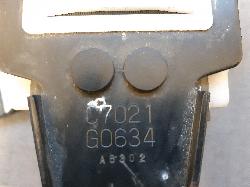 Contact us for Photo