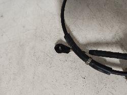 Contact us for Photo