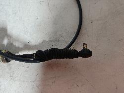 Contact us for Photo