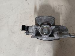 Contact us for Photo