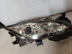 Contact us for Photo