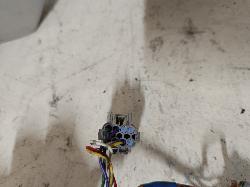 Contact us for Photo