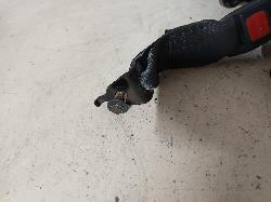 Contact us for Photo