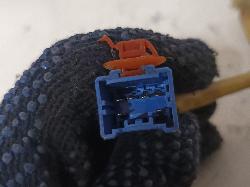 Contact us for Photo