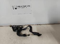 Contact us for Photo