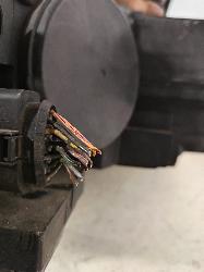 Contact us for Photo