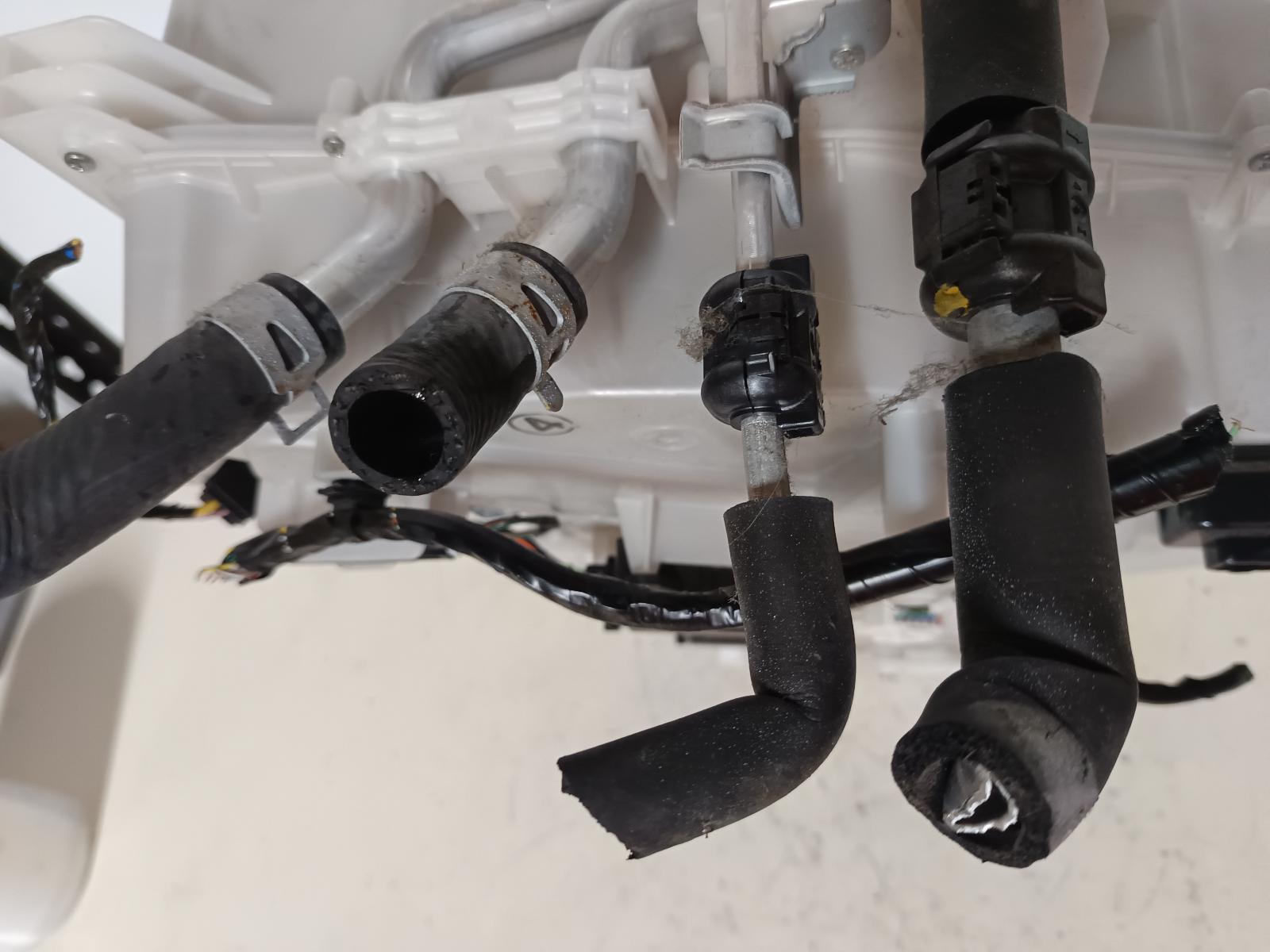 Contact us for Photo