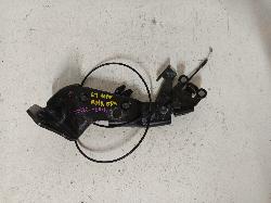 Contact us for Photo