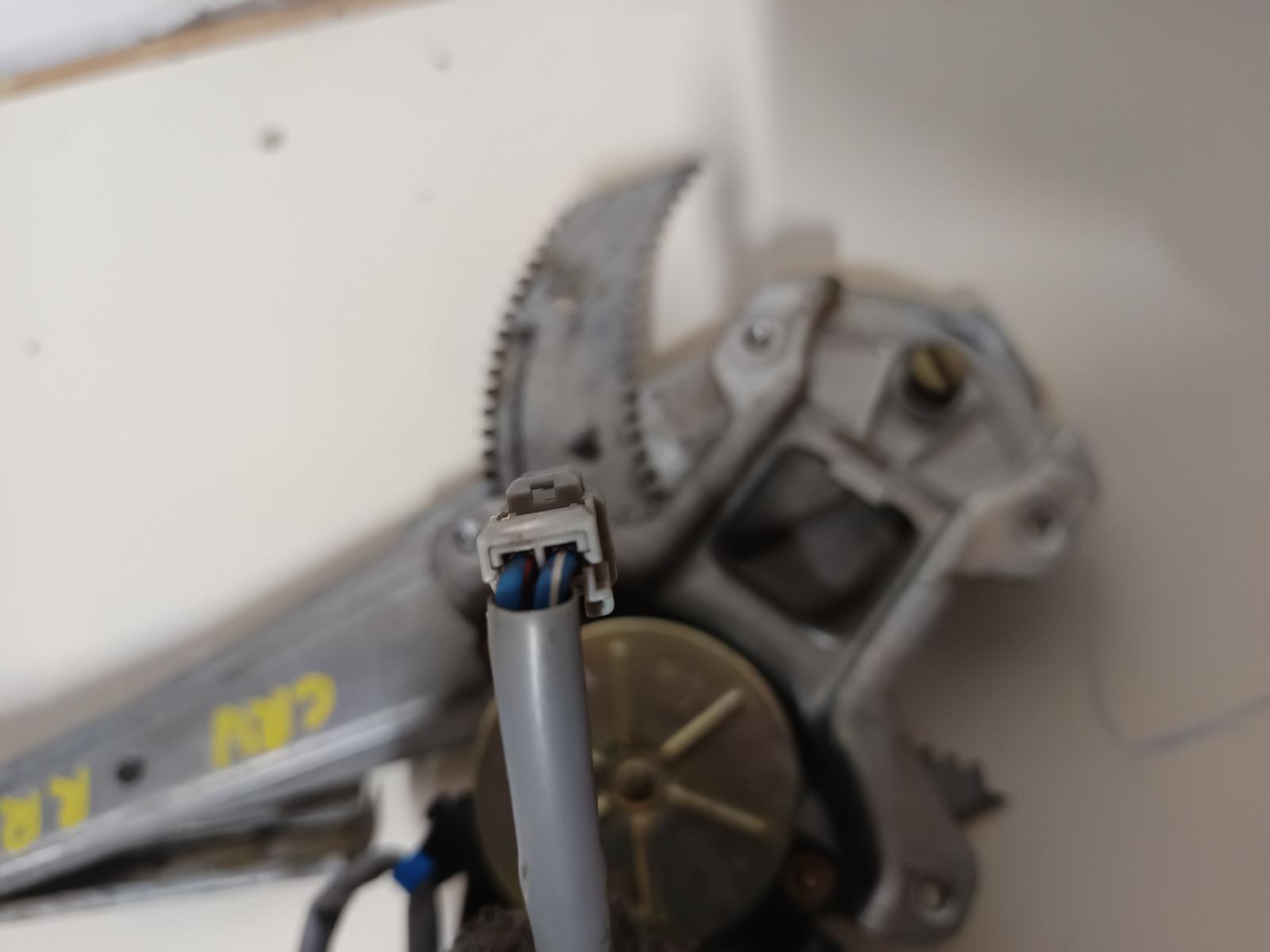 Contact us for Photo