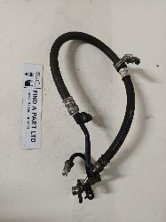 Contact us for Photo