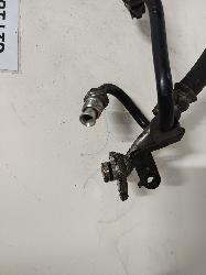 Contact us for Photo