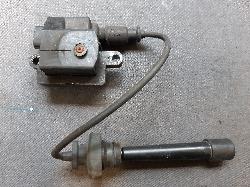 Contact us for Photo