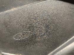 Contact us for Photo