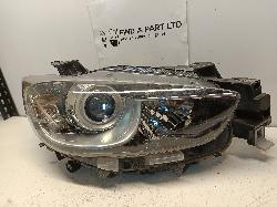 Contact us for Photo