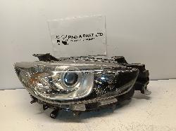 Contact us for Photo