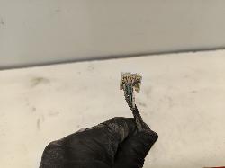 Contact us for Photo