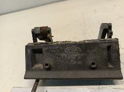 Contact us for Photo