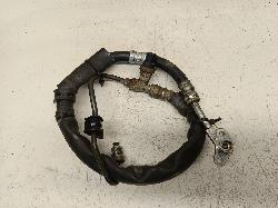 Contact us for Photo