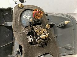 Contact us for Photo