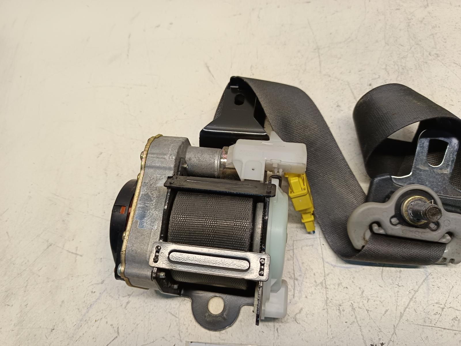 Contact us for Photo