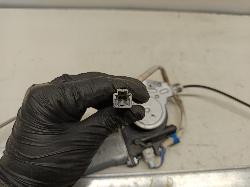 Contact us for Photo