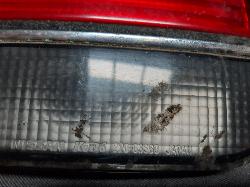 Contact us for Photo