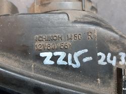 Contact us for Photo