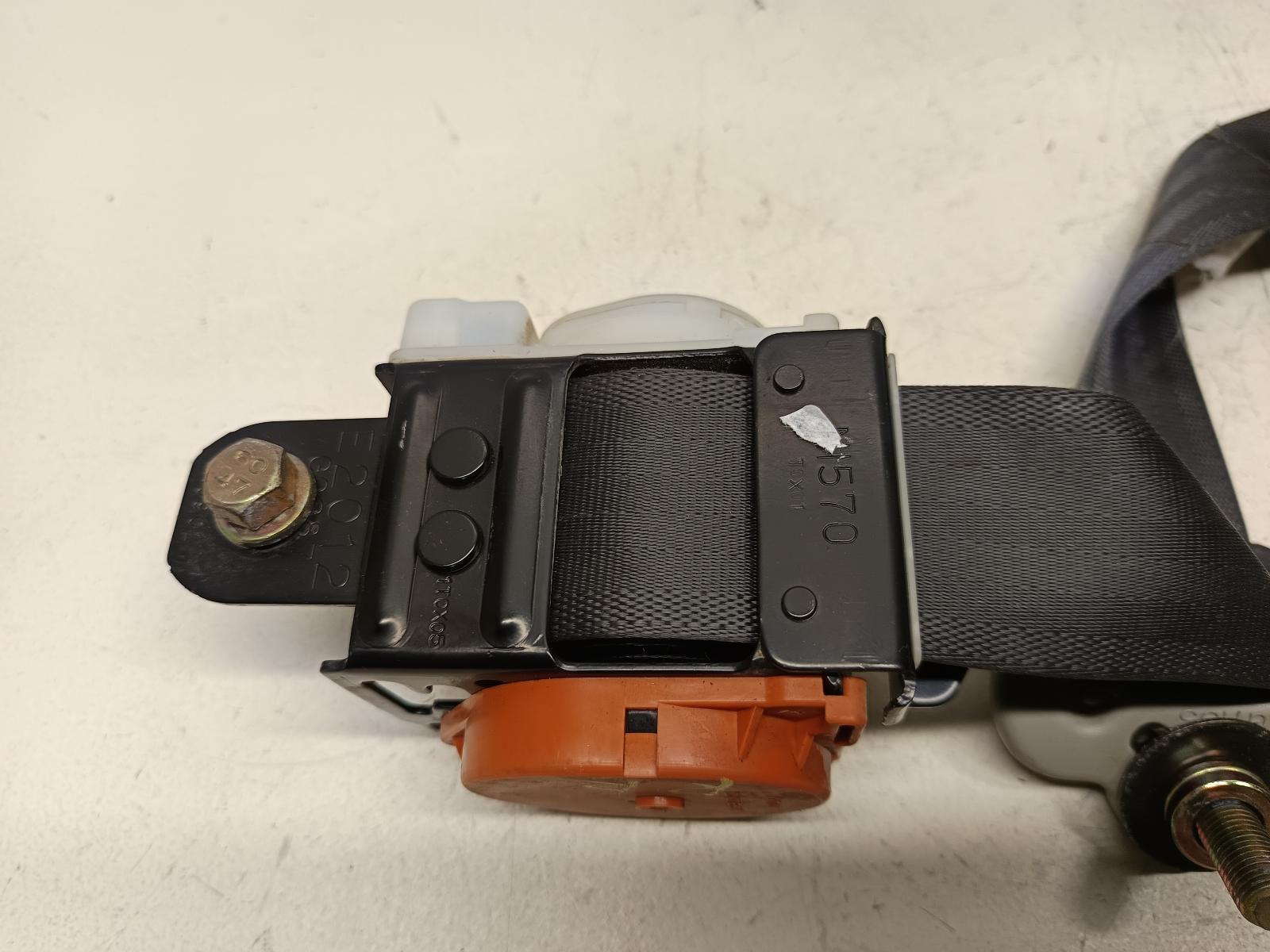 Contact us for Photo