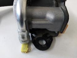 Contact us for Photo