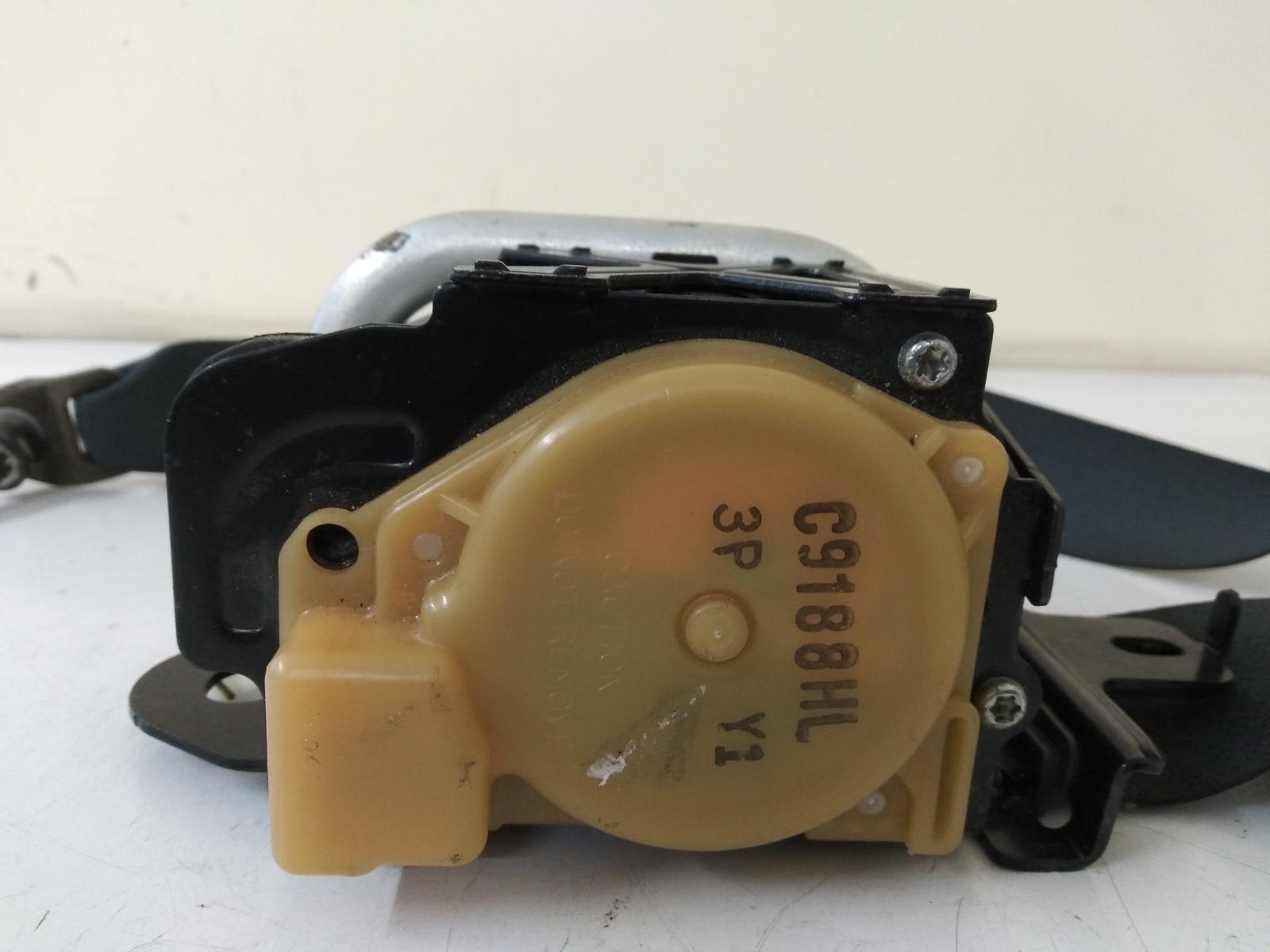 Contact us for Photo