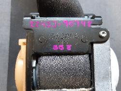 Contact us for Photo