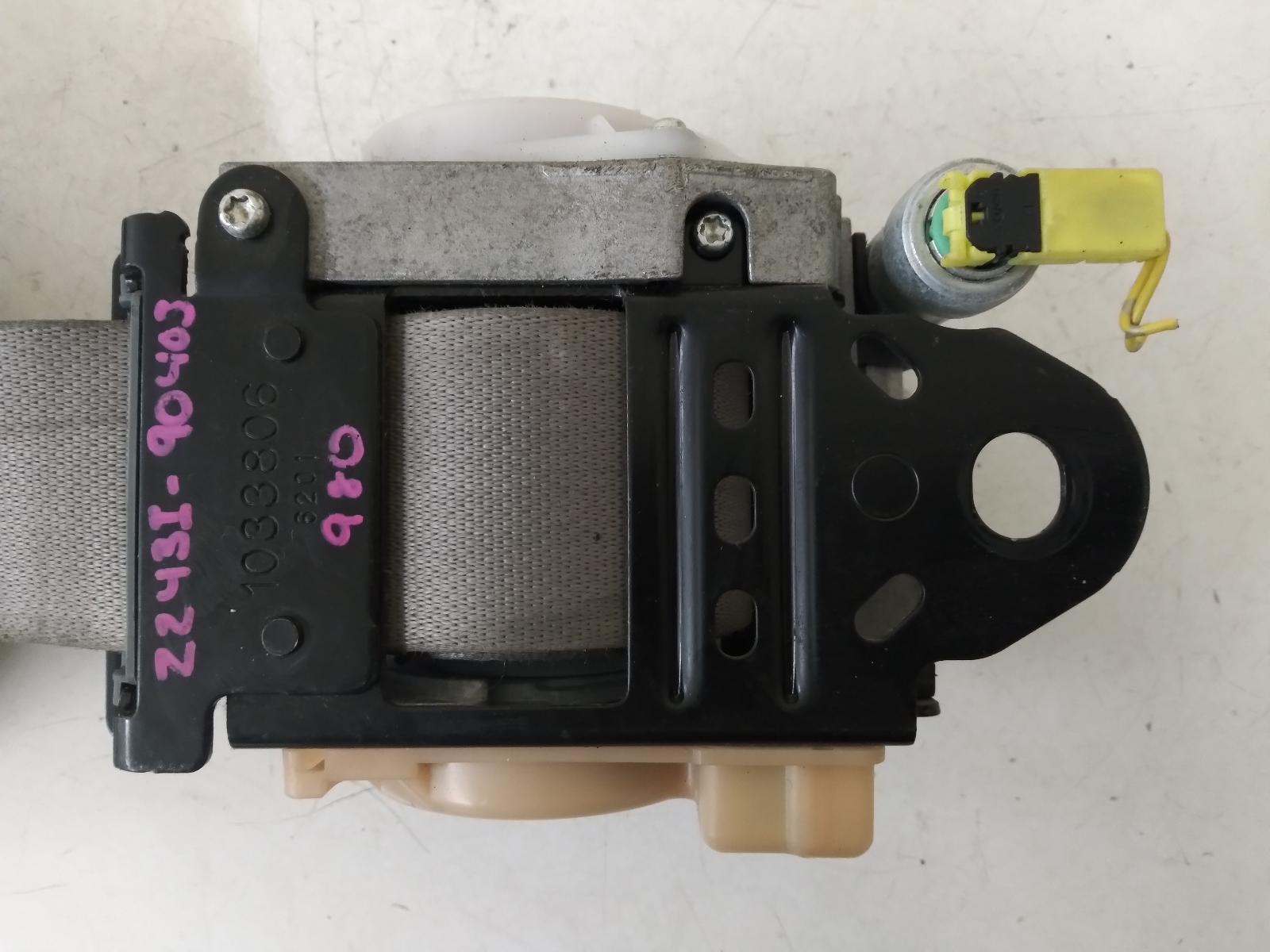 Contact us for Photo