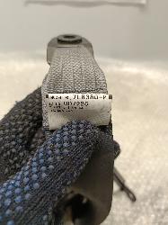 Contact us for Photo