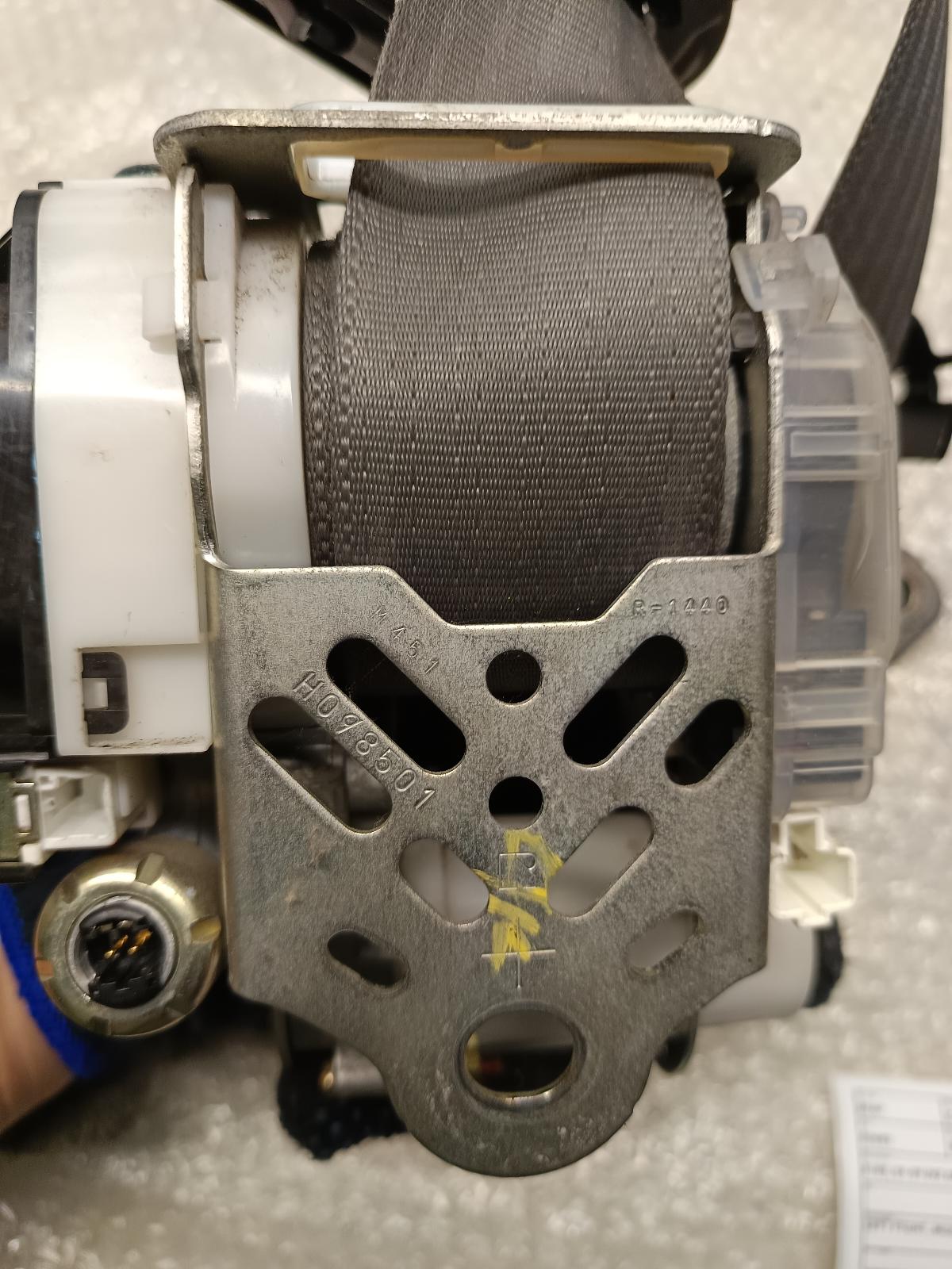 Contact us for Photo