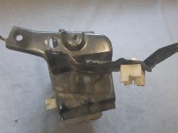 Contact us for Photo