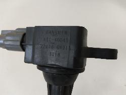 Contact us for Photo